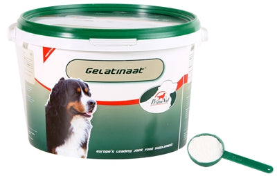 Primeval Gelatinaat Hond