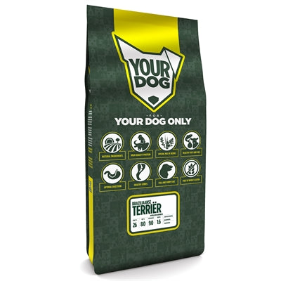 Yourdog Braziliaanse Terriër Volwassen